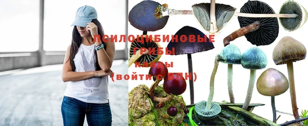 ALPHA PVP Переславль-Залесский