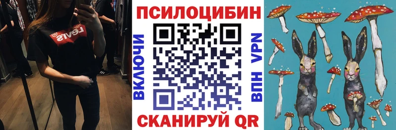 Псилоцибиновые грибы Magic Shrooms mega ONION Юрьев-Польский